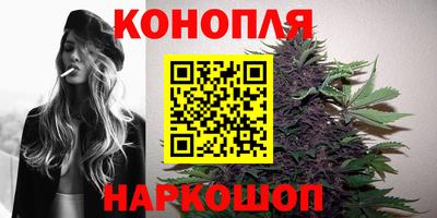 шишки Котовск