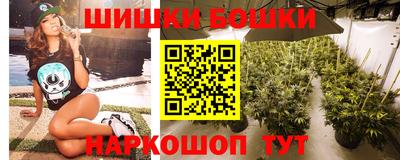 шишки Котовск