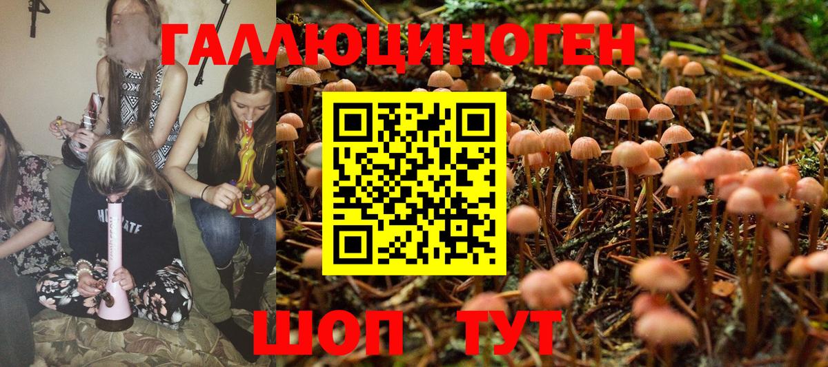 Псилоцибиновые грибы Psilocybine cubensis Дзержинский
