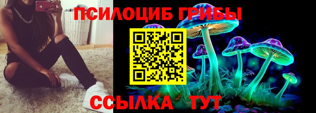 Дзержинский  Псилоцибиновые грибы GOLDEN TEACHER  Вход с VPN 